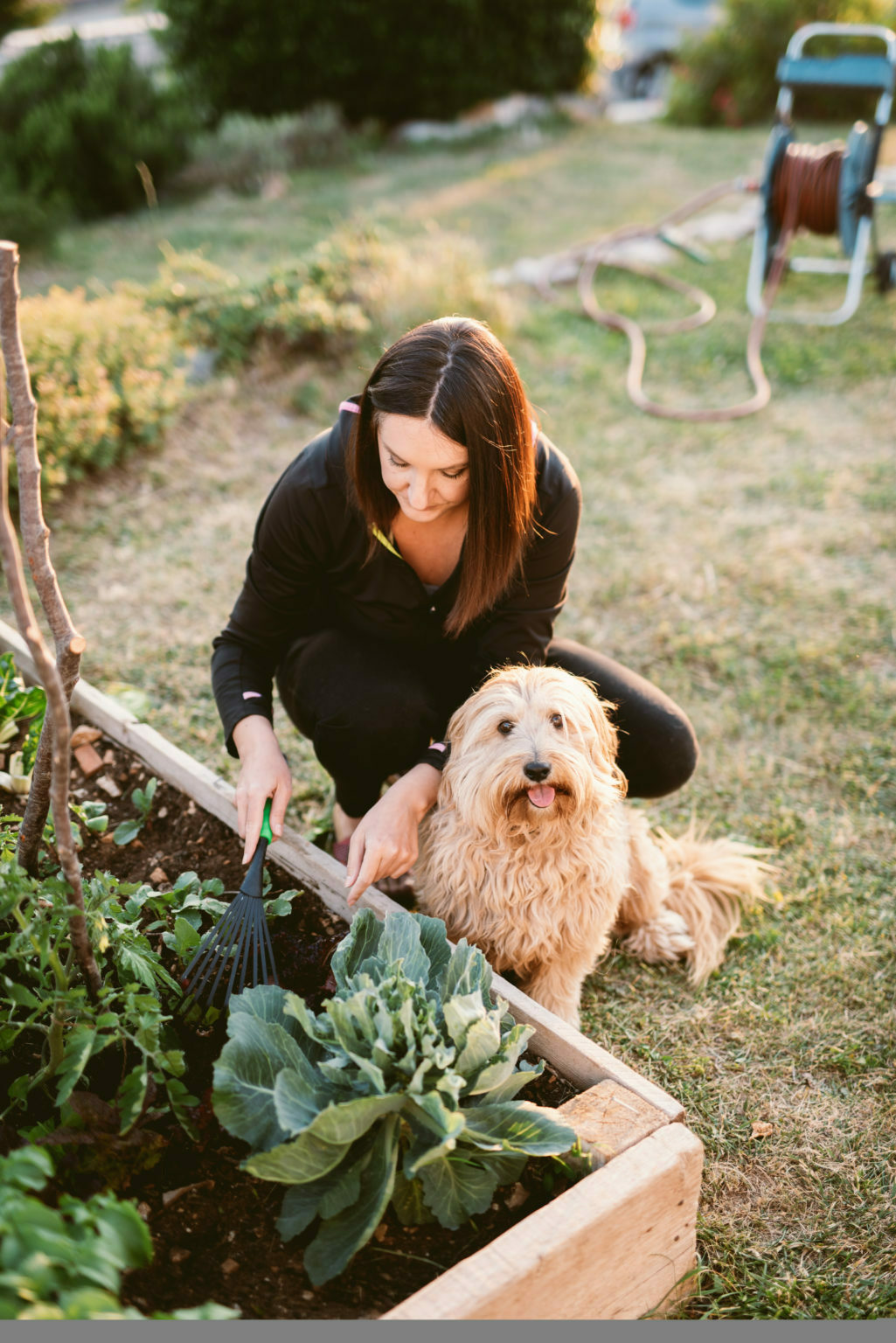 Gardening