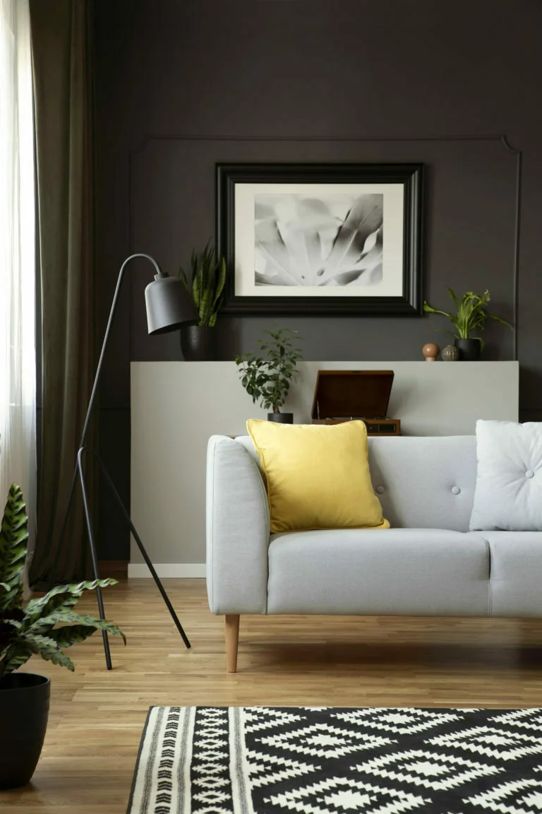 Furnished Apartments vs. Home Ownership