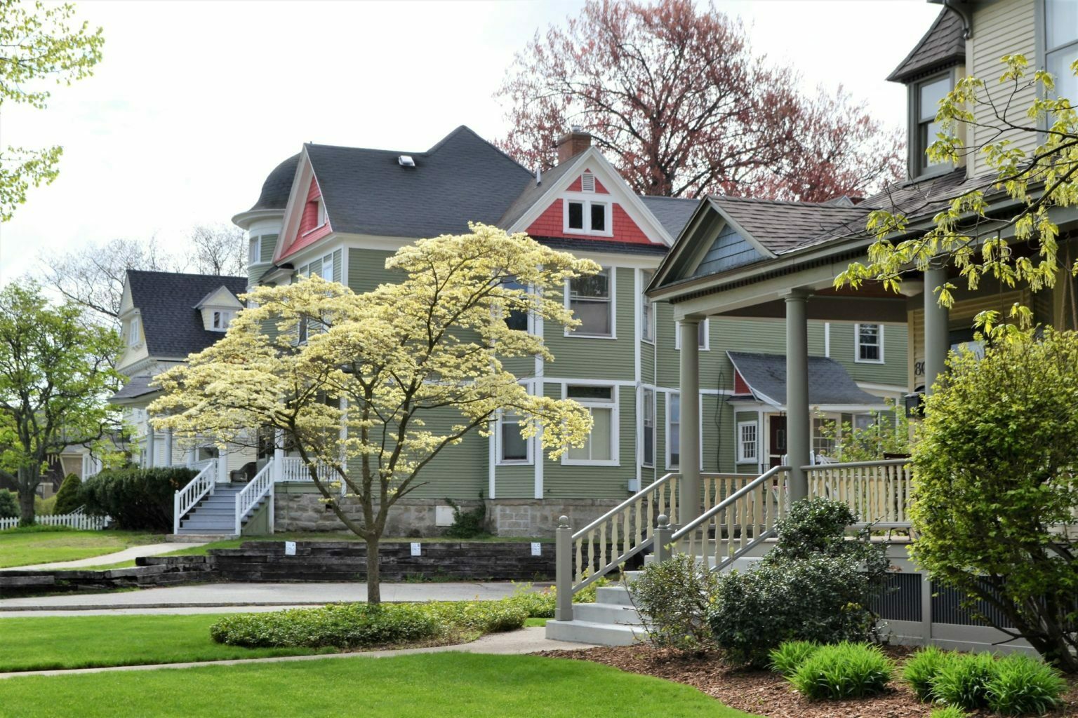 a house with a tree in the front yard
